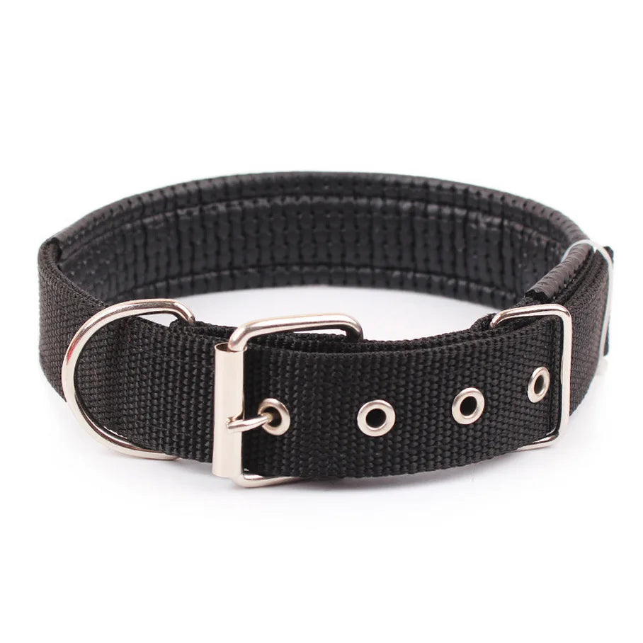 Verstellbares Halsband für Hunde in Schwarz