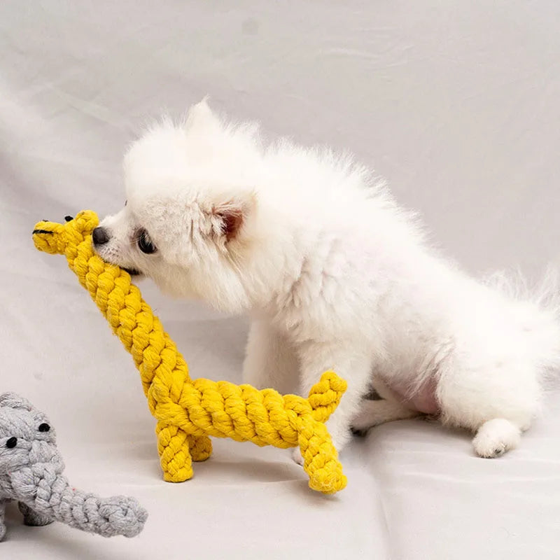 Hund spielt mit Seilspielzeug aus Baumwolle