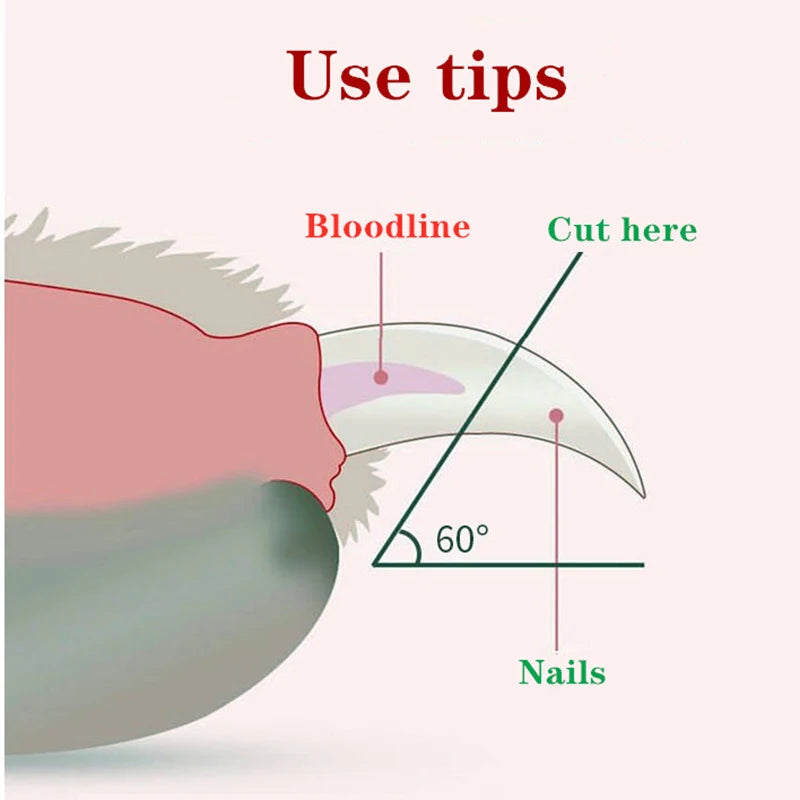 Tipps zum nagelschneiden