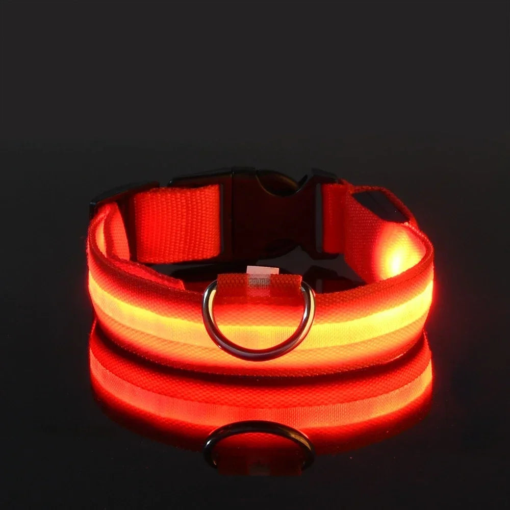 Wetterfestes Hundehalsband mit Licht in Rot