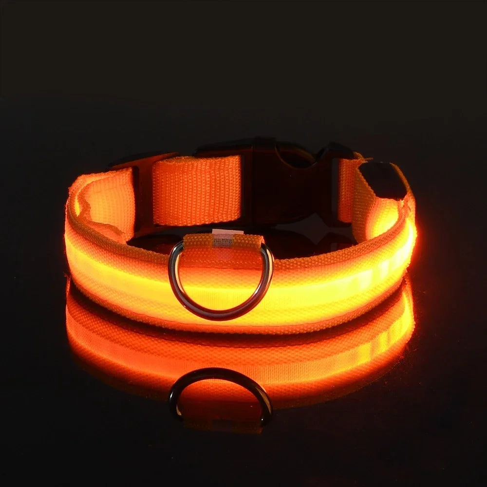 Wetterfestes Hundehalsband mit Licht in Orange