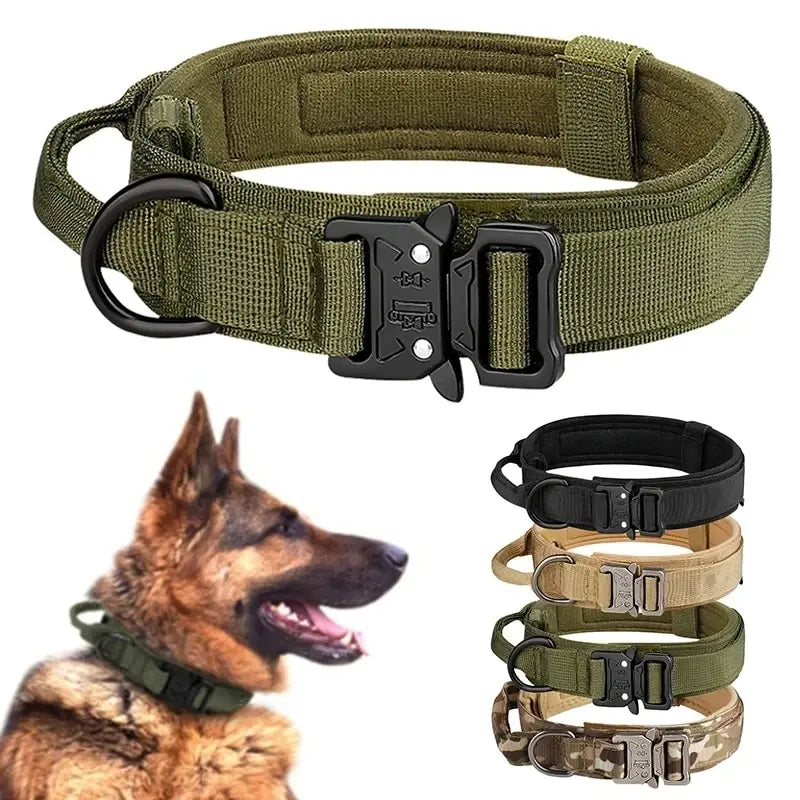 Robustes Hundehalsband mit Metallschnalle