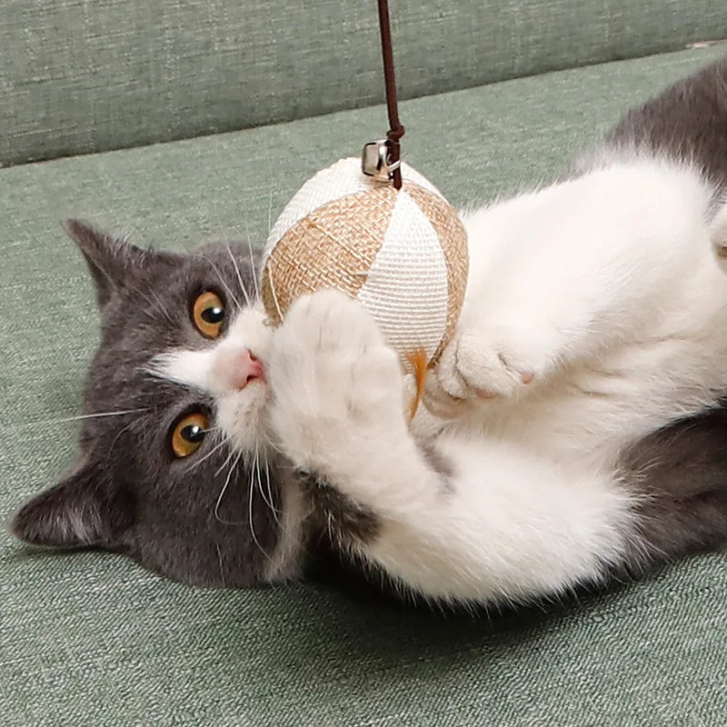 Katze spielt mit Maus-Anhänger an Holzstab