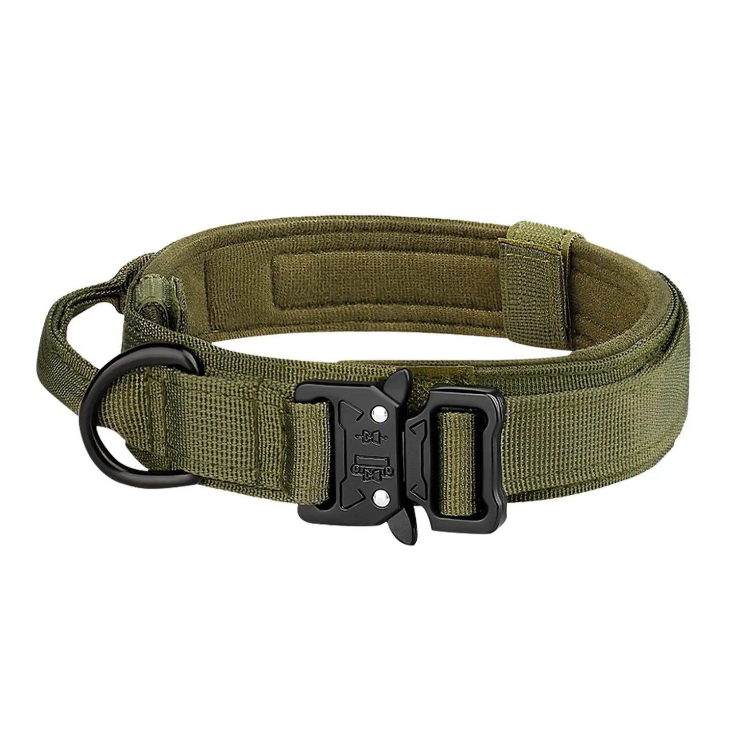 Starkes Hundehalsband aus Nylon und Metall in Grün