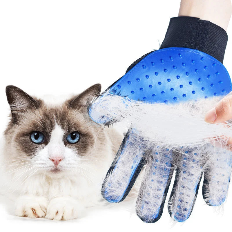 silikonpflegehandschuh mit noppen für tiermassage mit Katze im Hintergrund