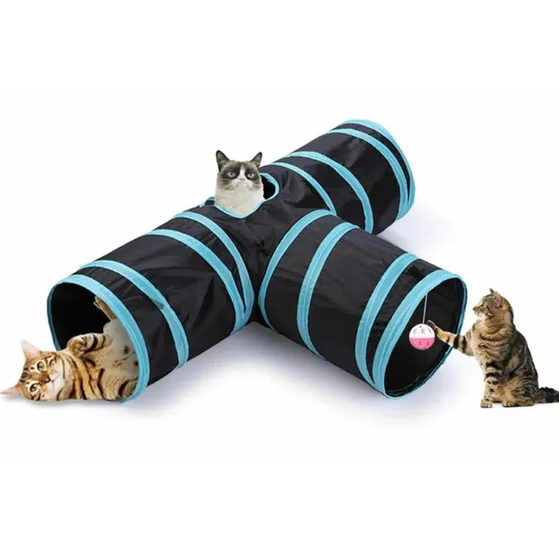 Katze spielt im Katzentunnel mit Spielball