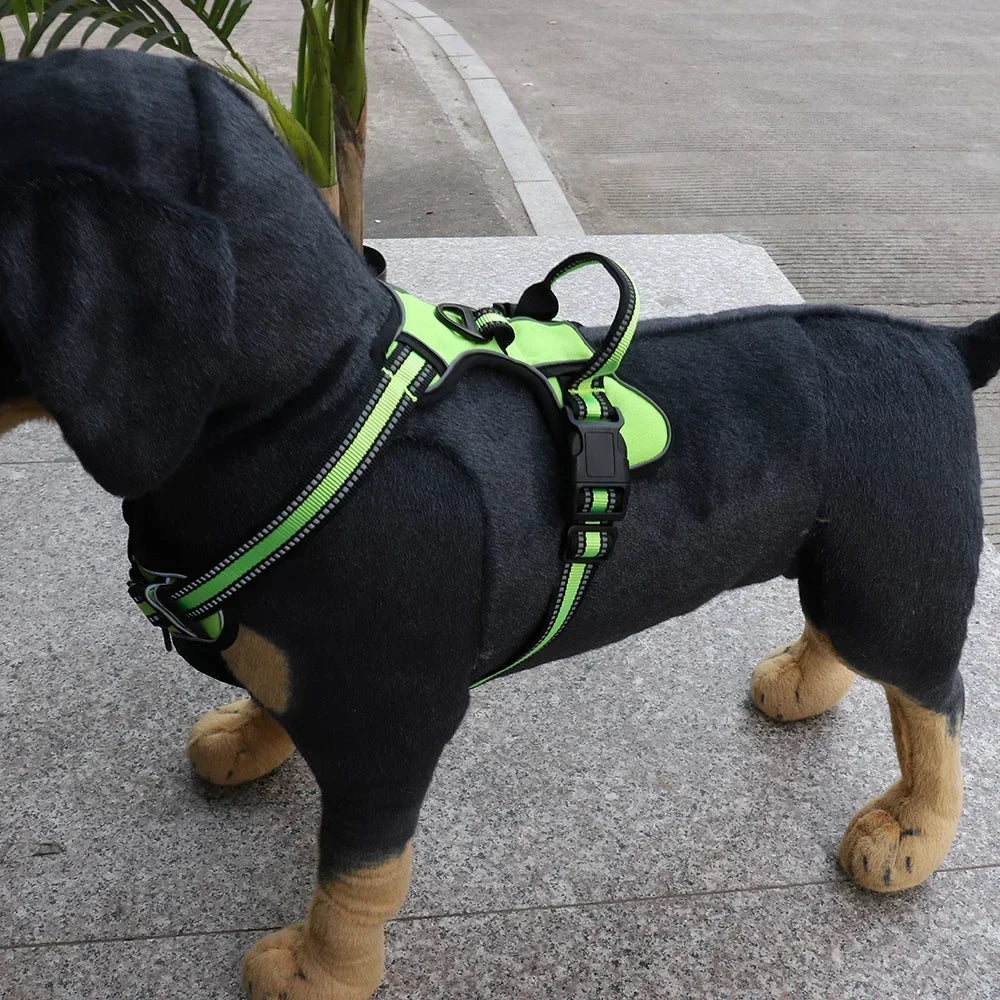 Hund mit reflektierendem Anti-Zug-Geschirr beim Spaziergang
