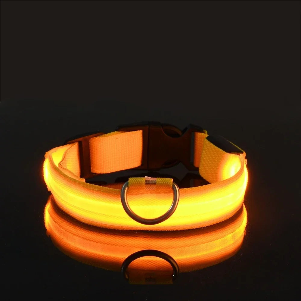 Wetterfestes Hundehalsband mit Licht in Orange