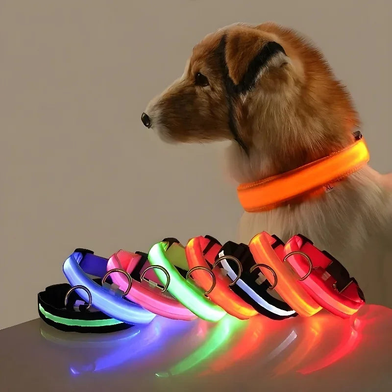 Helles Leuchthalsband für kleine Hunde