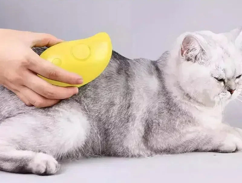Katze genießt Massage mit Dampfbürst