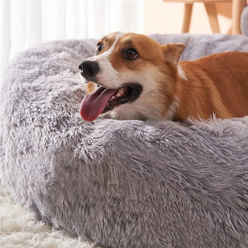 Donut-Hundebett flauschig mit hund drauf