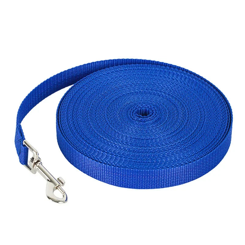 Blau Hundeleine aus Nylon auf weißem Hintergrund