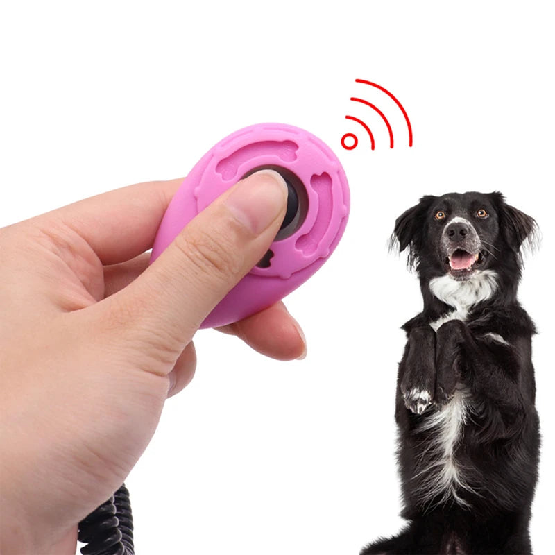 klickertraining für hunde & katzen zuhause