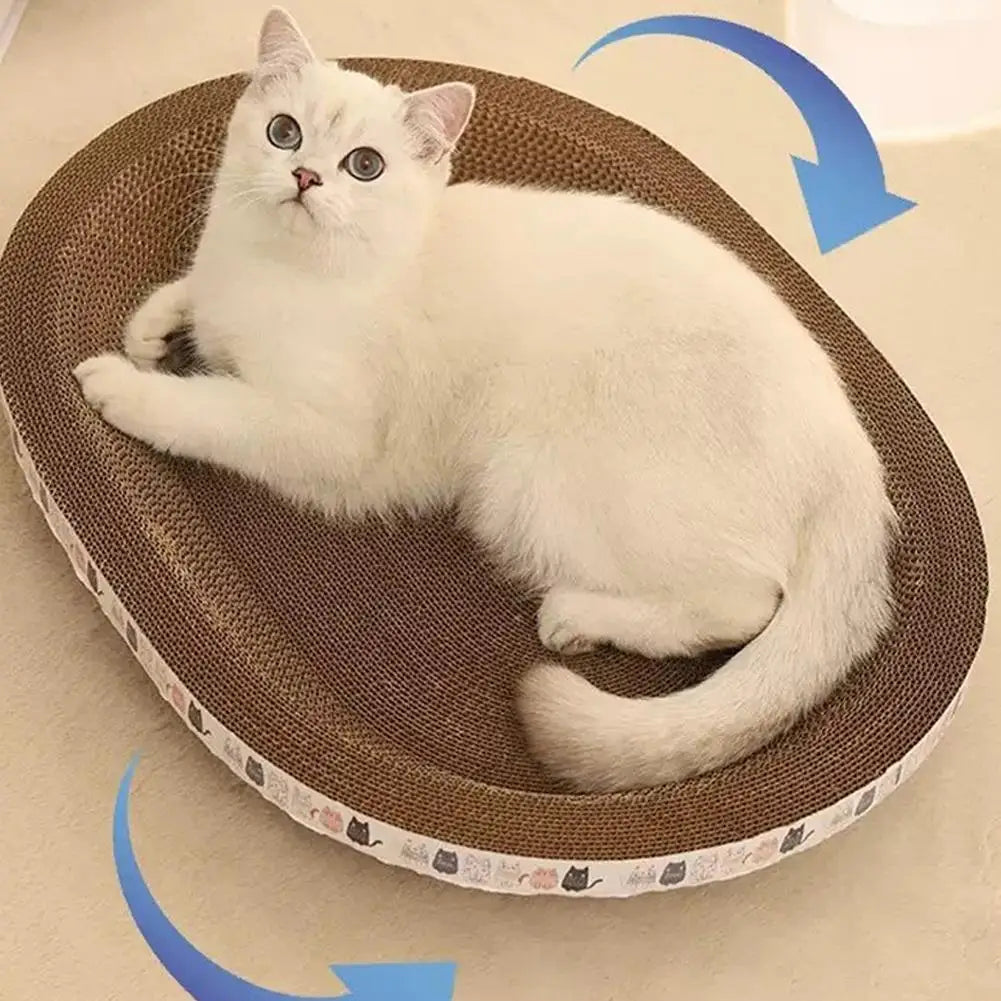 Katze liegt im runden Kratznapf aus Wellpappe