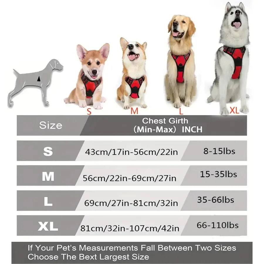 Größenübersicht für Hundegeschirr XS–XL