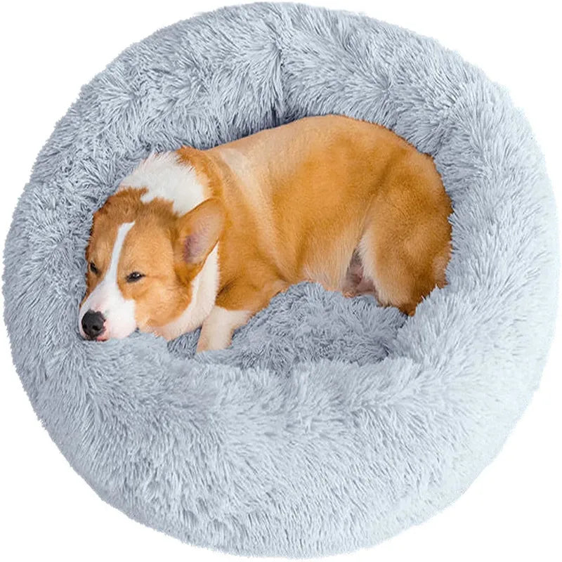 Haustierbett für kleine Hunde und Katzen