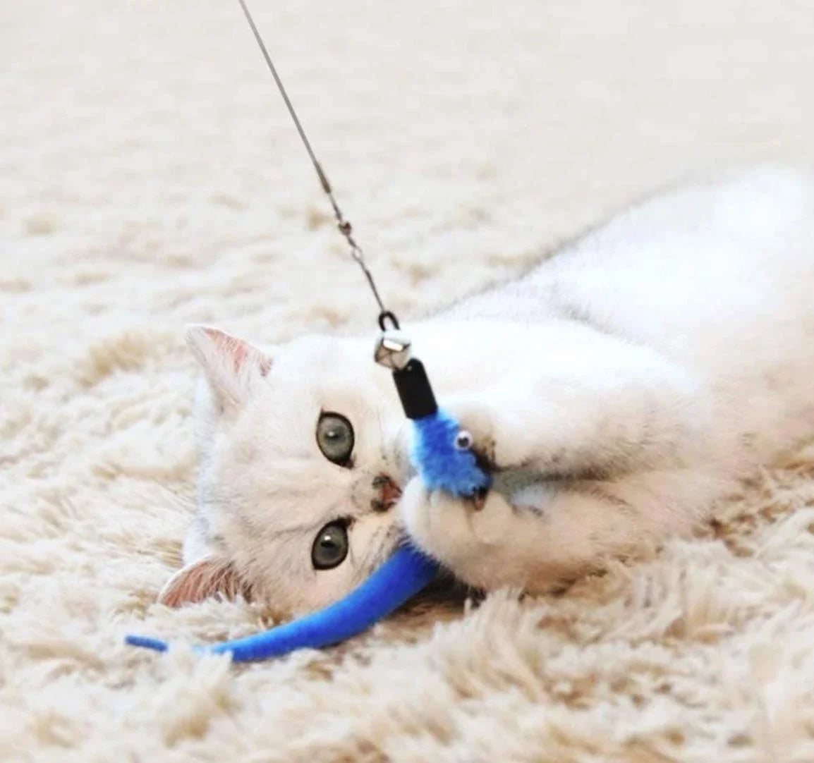 Katze spielt mit Katzenangel mit Feder