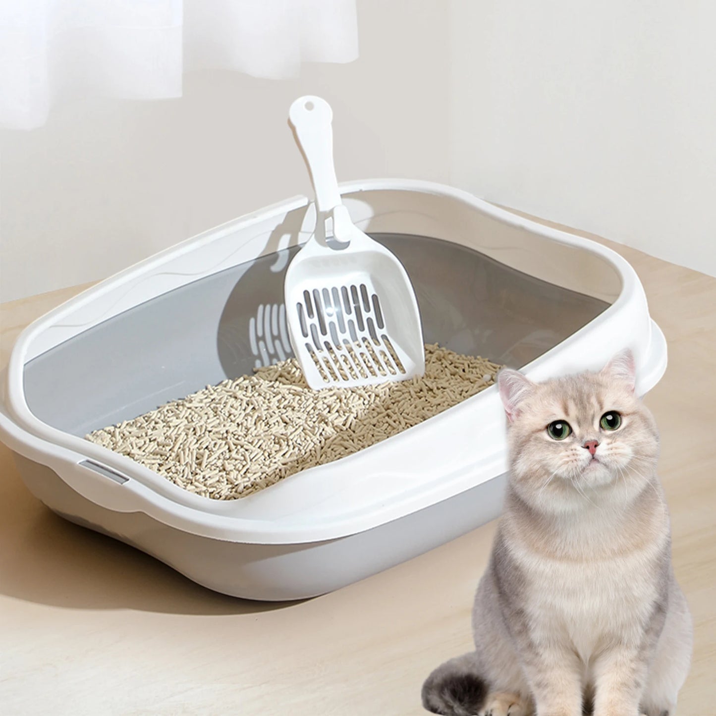 Komplettansicht Katzentoilette mit hohem Rahmen
