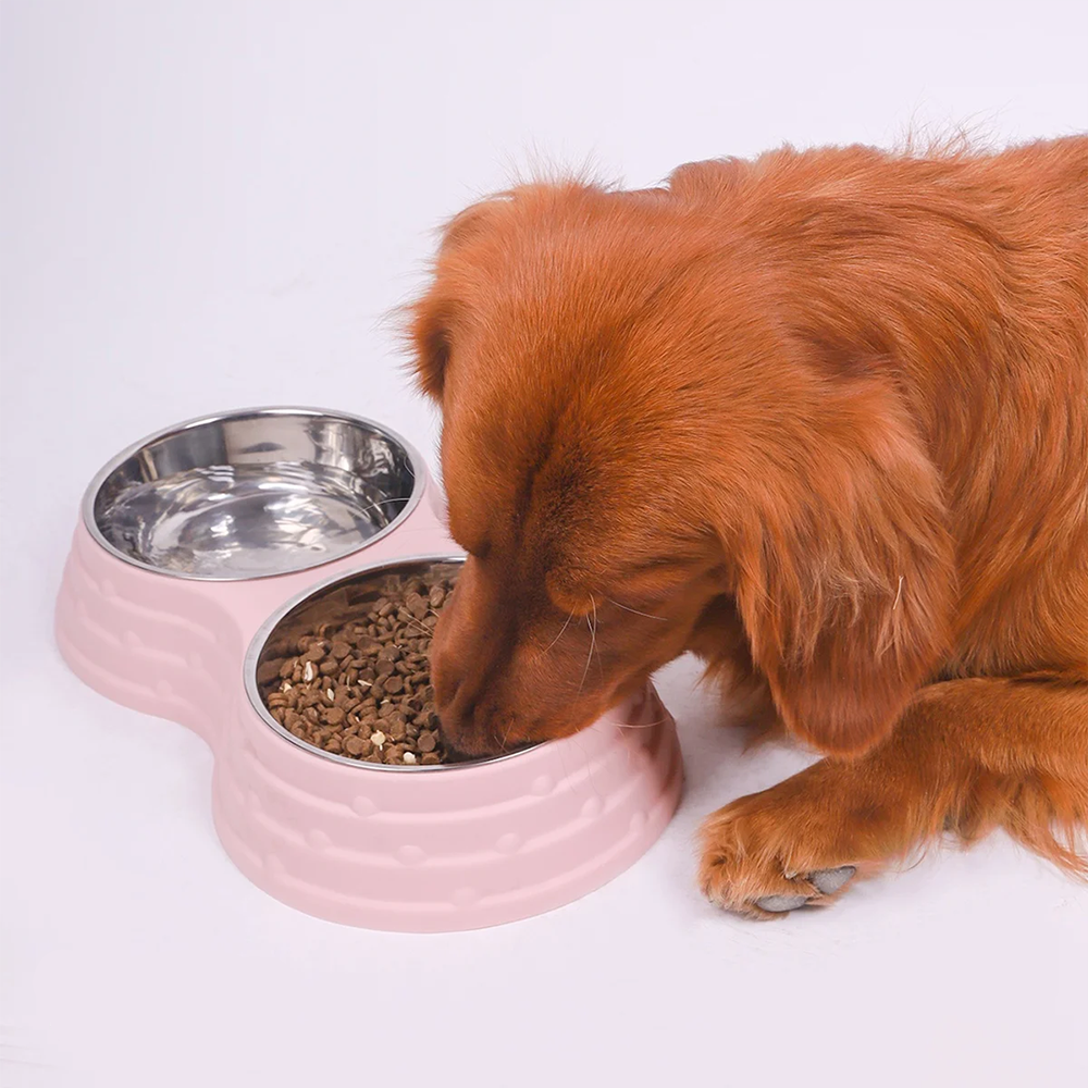 Napf für kleine Hunde in Rosa