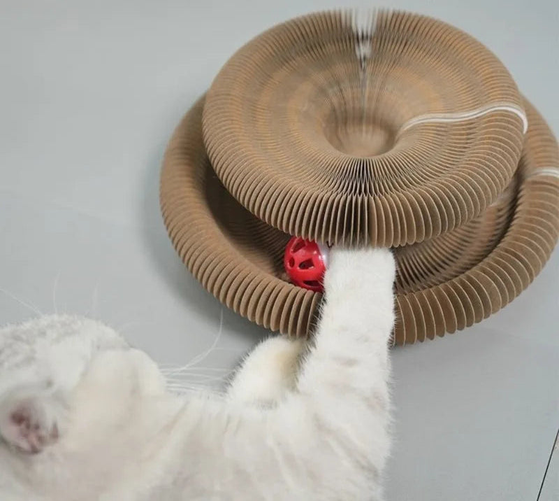 Katze spielt mit Ball im Kratzspielzeug