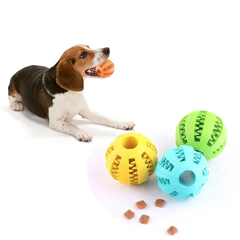 Zahnpflegeball beim Spielen mit Hund