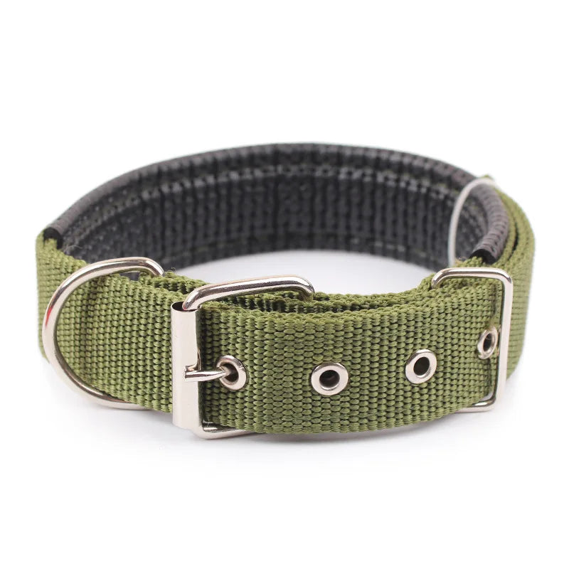 Verstellbares Halsband für Hunde in Grün