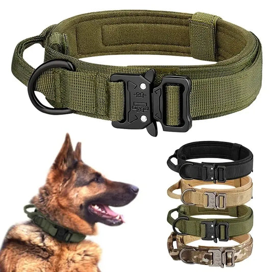 Robustes Hundehalsband mit Metallschnalle