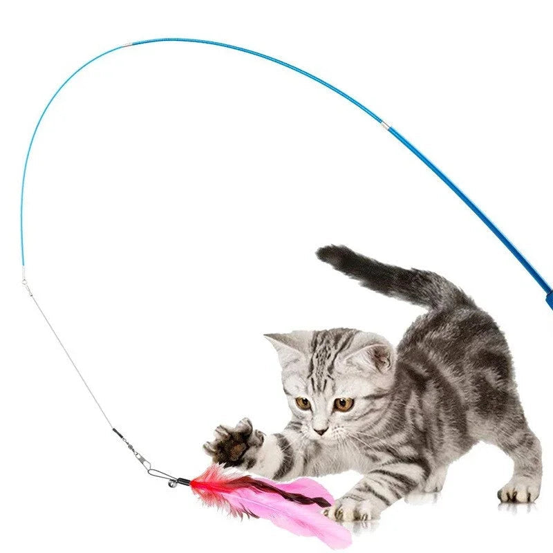 Katzenangel in Hand mit spielender Katze