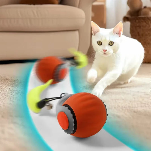 Elektrischer Katzenball mit beweglichem Schwanz