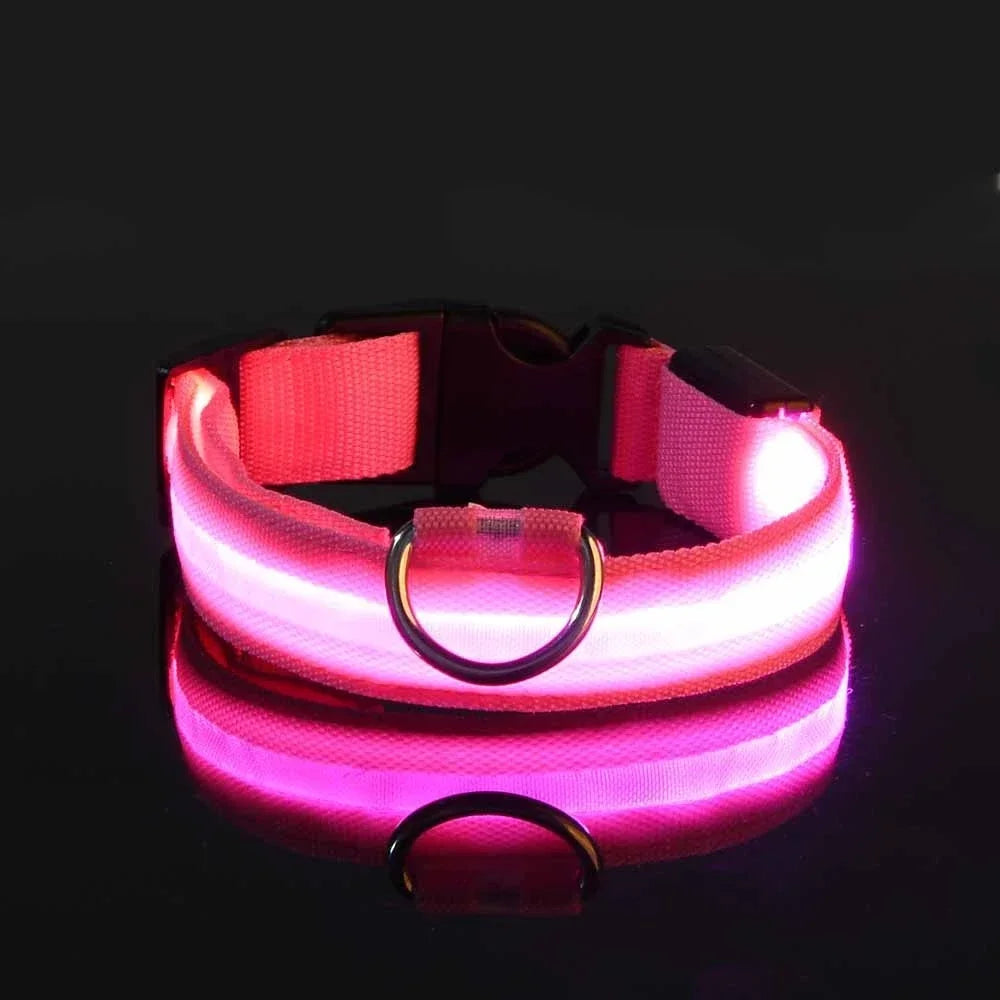 Wetterfestes Hundehalsband mit Licht in Pink
