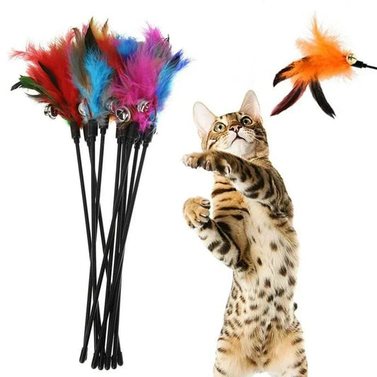 Interaktives Katzenspielzeug mit bunten Federn und Glöckchen