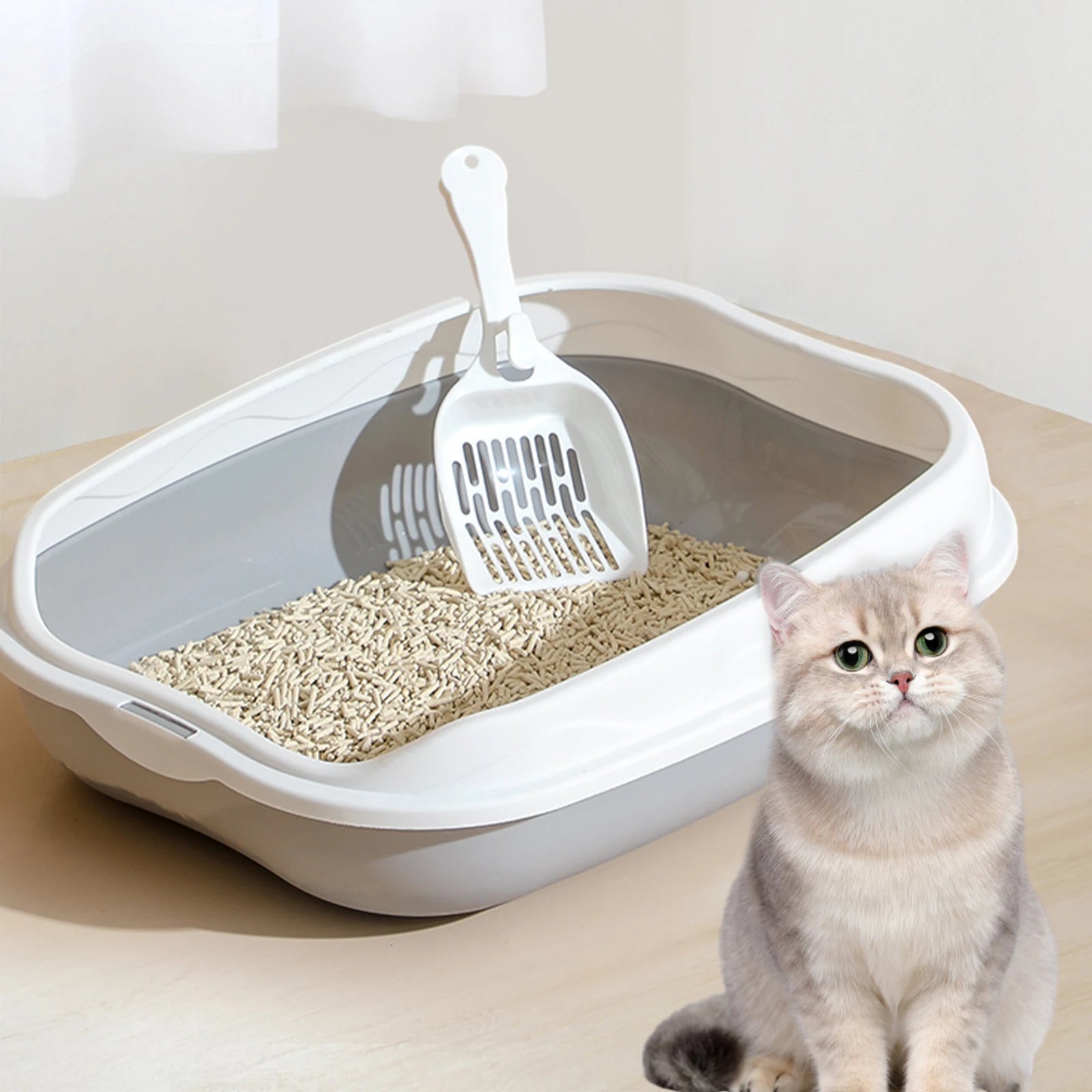 Komplettansicht Katzentoilette mit hohem Rahmen