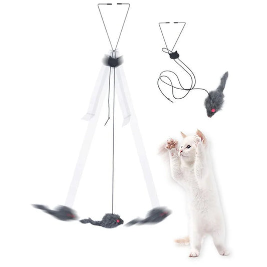 Katze spielt mit Maus an Seil